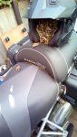 IMG_20180403_093127_1.jpg