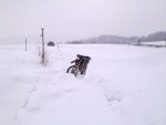 Bild0049.jpg