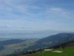 IMG_0016.jpg