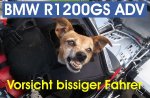 BMW_HUND_600x600_200KB.jpg