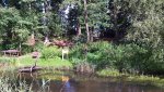 WP_20180811_16_44_15_Pro.jpg