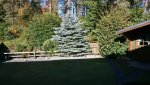 DSC_0691.jpg