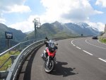 IMG_7253.JPG