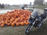 20181020_144237.jpg