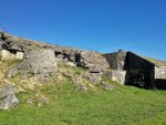 IMG_20181005_124903-01.jpg