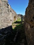 IMG_20181005_125039-01.jpg