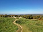 IMG_20181005_130241-01.jpg