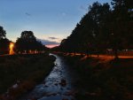 IMG_20181007_070431-01.jpg