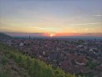 IMG_20181007_074529-01.jpg