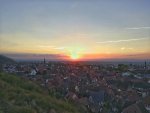 IMG_20181007_074918-01.jpg