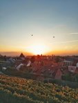 IMG_20181007_075844-01.jpg