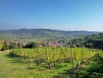 IMG_20181008_140532-01.jpg