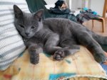 20181027_103051.jpg