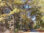20181101_123803-3096x2322.jpg