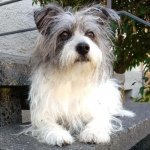 IMG-20180828-WA0028.jpg