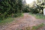 DSC00394.jpg