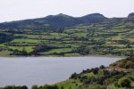 DSC00438.jpg