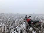 5EE2C16C-6E36-4938-9A42-44AFBE6F90B9.jpeg