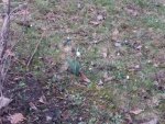 20190127_153155.jpg