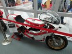 IMG_20190215_141537.jpg