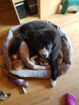 IMG-20190217-WA0001.jpg