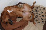 IMG_0224.jpg