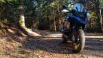 wald2.jpg