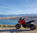 Duc.jpg