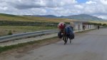 P1030892 (FILEminimizer).JPG