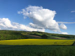 7C737013-892D-4016-A967-ED5914298FC6.png