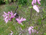 DSCF1253.jpg
