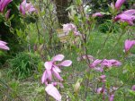 DSCF1254.jpg
