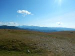 DSCN2573.jpg