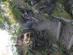 20190801_093402.jpg