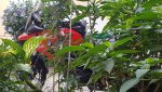 20190809_165020.jpg