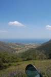 DSC_6041.JPG