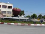 Apfel (Large).jpg