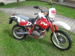 20190503_152531.jpg