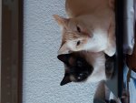20191117_121921.jpg