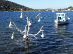 IMG-20191219-WA0029.jpg