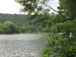 IMG_3910_1_1.JPG