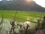 Reise LAOS 2009 145.jpg