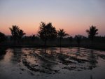 Goa und Südindien 2010 143.jpg