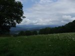 DSCF1405.jpg