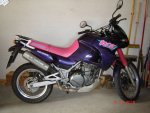 DSC01409.jpg