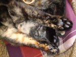 DSCF1473.jpg