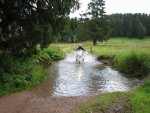 IMG_0224.JPG