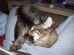 100_1785.jpg
