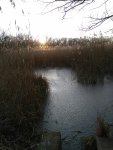 IMG_20200102_151408.jpg