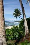 77 Samoa - Cape Mulinuu (Ende der Welt).jpg